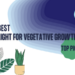 Light For Vegetative Growth