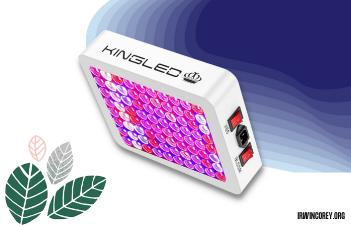 King Plus 600W LED Grow Light Full Spectrum: Best Lights For Vegetative Growth