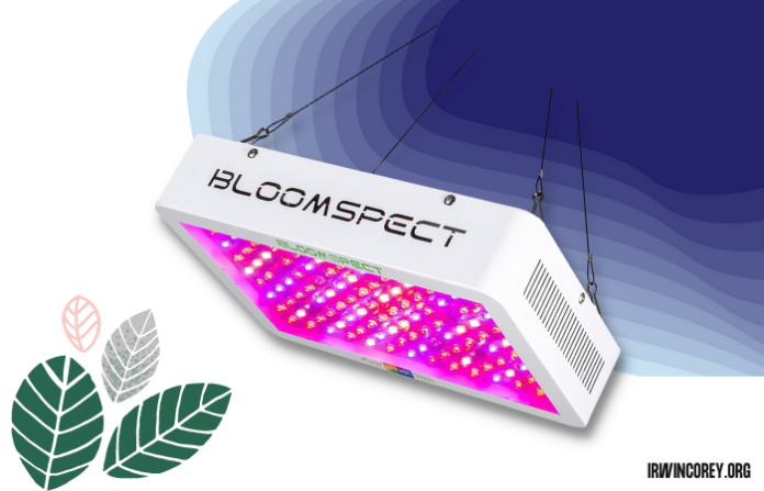 BLOOMSPECT 1000W LED Grow Lights