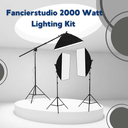Fancierstudio 2000 Watt Lighting Kit