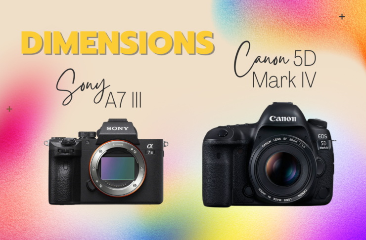 Sony A7 III and Canon 5D Mark IV dimensions