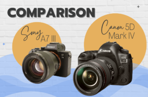Sony A7 III vs Canon 5D Mark IV