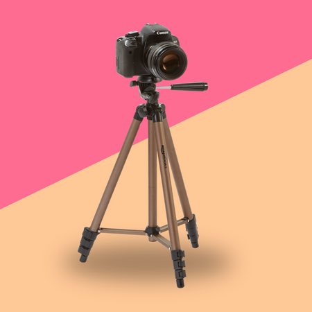 AmazonBasics 50-inch Lightweight Camera Mount