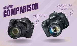 Canon 7D vs Canon 7D Mark II